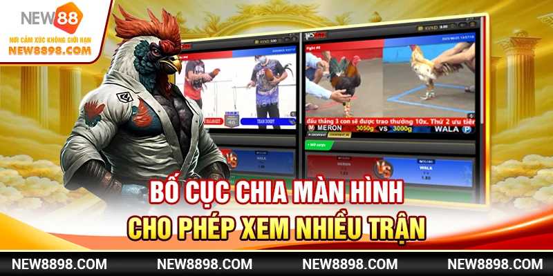 Bố cục chia màn hình cho phép xem nhiều trận