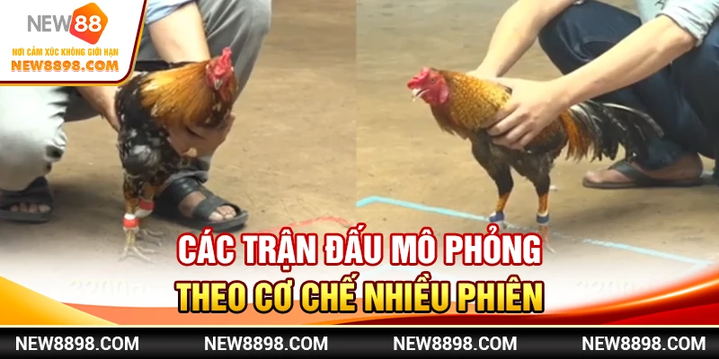 Các trận đấu mô phỏng theo cơ chế nhiều phiên