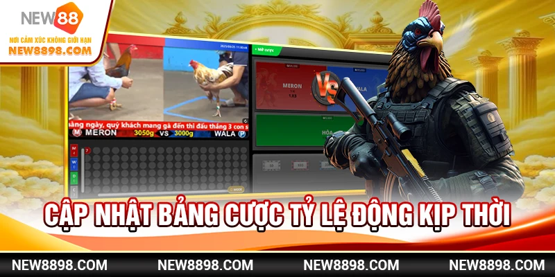 Cập nhật bảng cược tỷ lệ động kịp thời