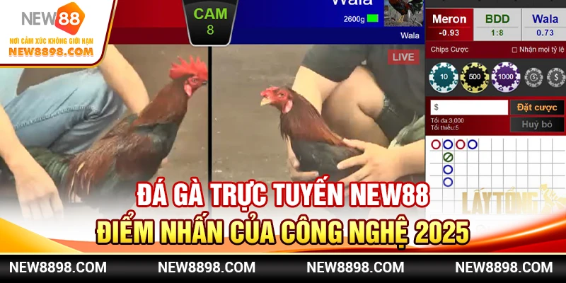Đá Gà Trực Tuyến New88 - Điểm Nhấn Của Công Nghệ 2025