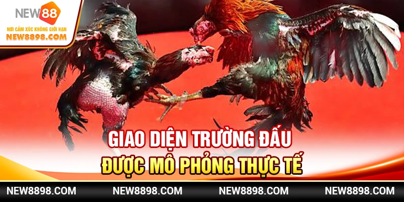 Giao diện trường đấu được mô phỏng thực tế