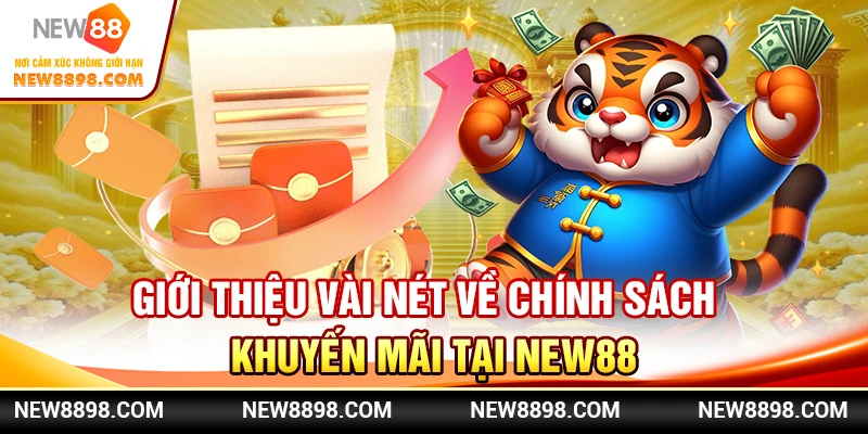 Giới thiệu vài nét về chính sách khuyến mãi tại New88