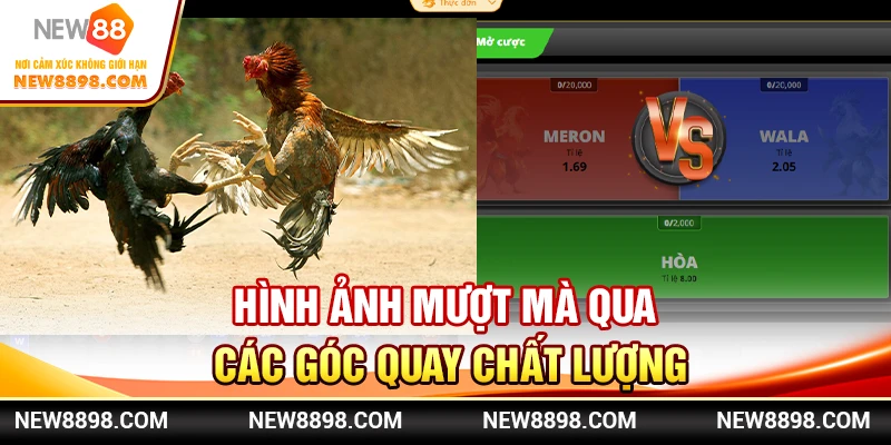 Hình ảnh mượt mà qua các góc quay chất lượng