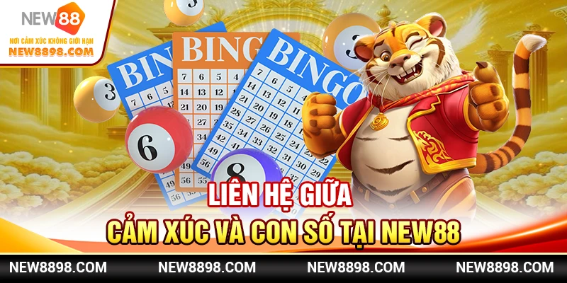 Liên hệ giữa cảm xúc và con số tại New88