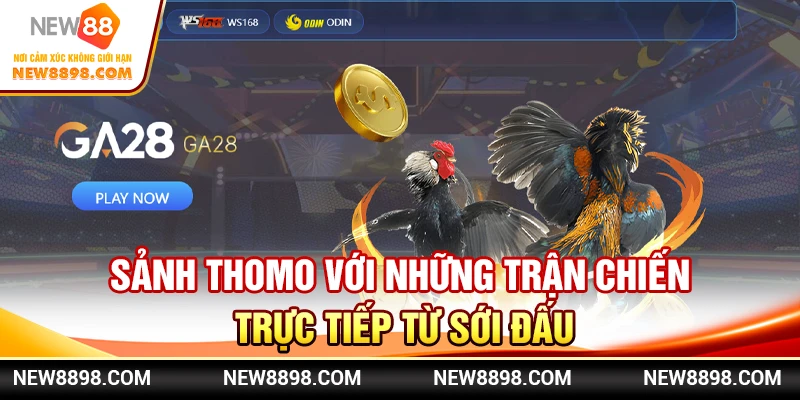 Sảnh Thomo với những trận chiến trực tiếp từ sới đấu