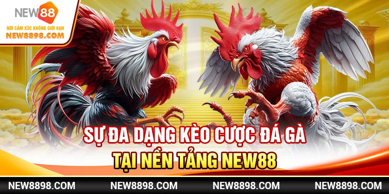 Sự đa dạng kèo cược đá gà tại nền tảng New88