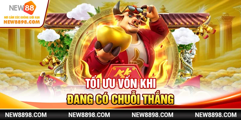 Tối ưu vốn khi đang có chuỗi thắng