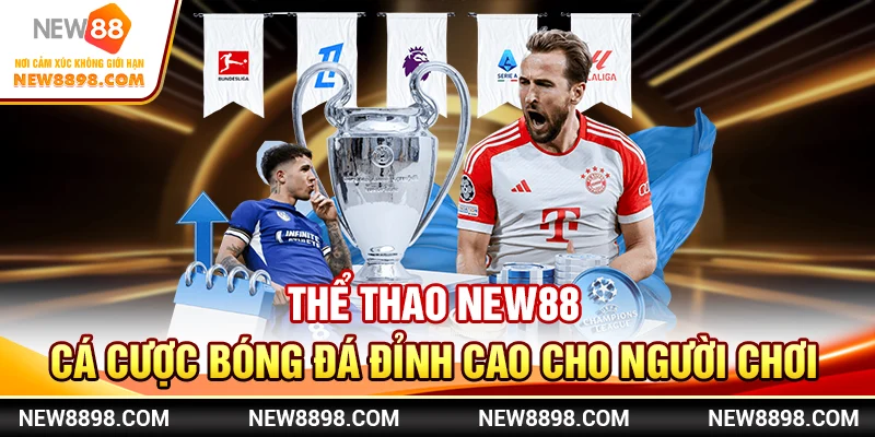 Thể Thao New88